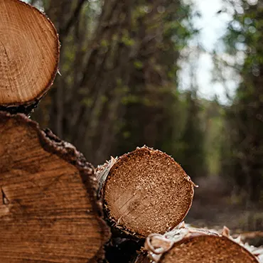 pots-en-bois-Ipé